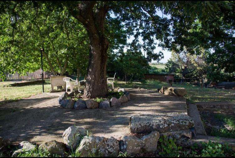 Favoloso Appartamento In Villa Monterosi Exterior photo